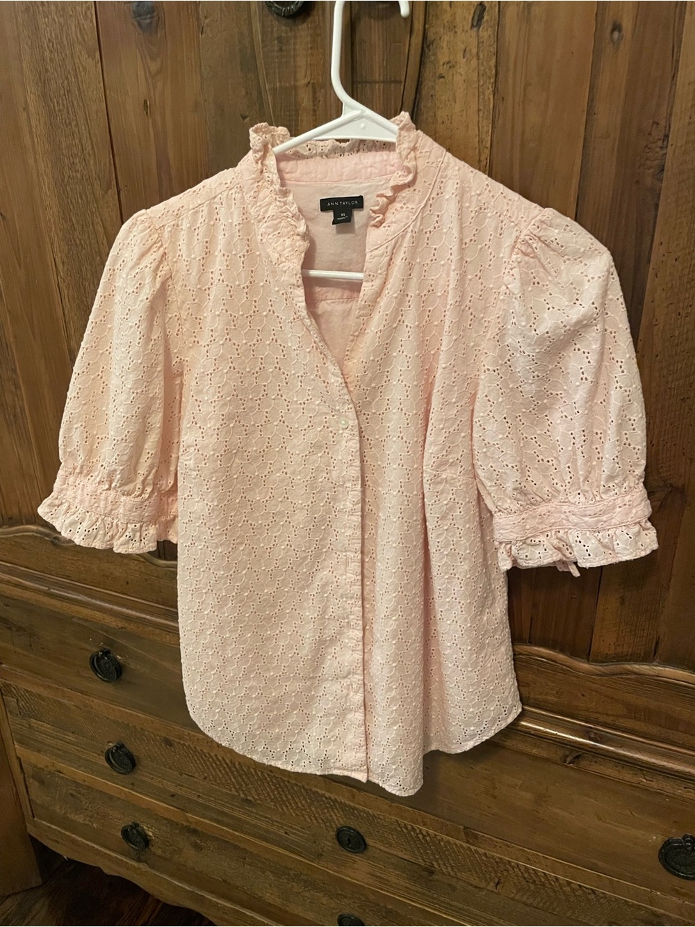Ann Taylor Pale Pink Eyelet Ruffle Sleeve Blouse